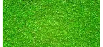 noch 08411 Flocage vert clair